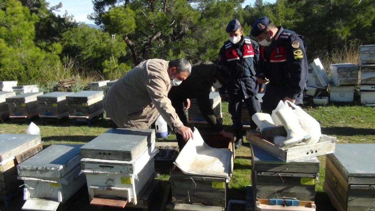 Dedektif gibi iz s&uuml;ren arıcı, &ccedil;alınan arılarını 200 kilometre uzakta buldu