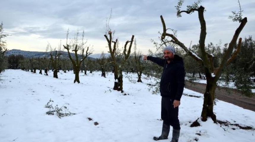 'Yalancı bahara' aldandılar! '36 yıldır böyle bir olay yaşanmadı'