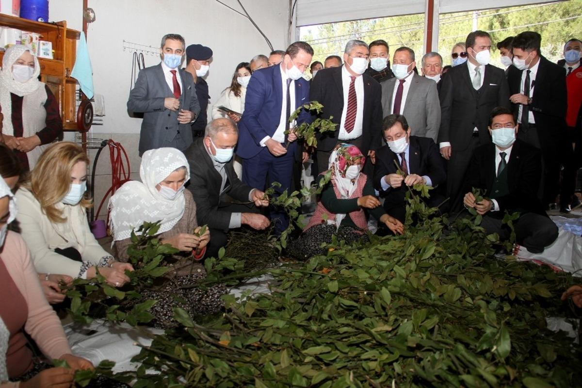 Fethiye&rsquo;de 500 bin Ada &Ccedil;ayı ve Kekik fidesi dağıtıldı