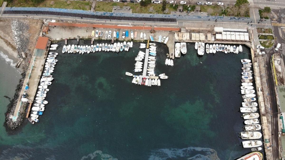 Marmara&rsquo;da balık&ccedil;ıların korkulu r&uuml;yası 10 yıl sonra geri d&ouml;nd&uuml;