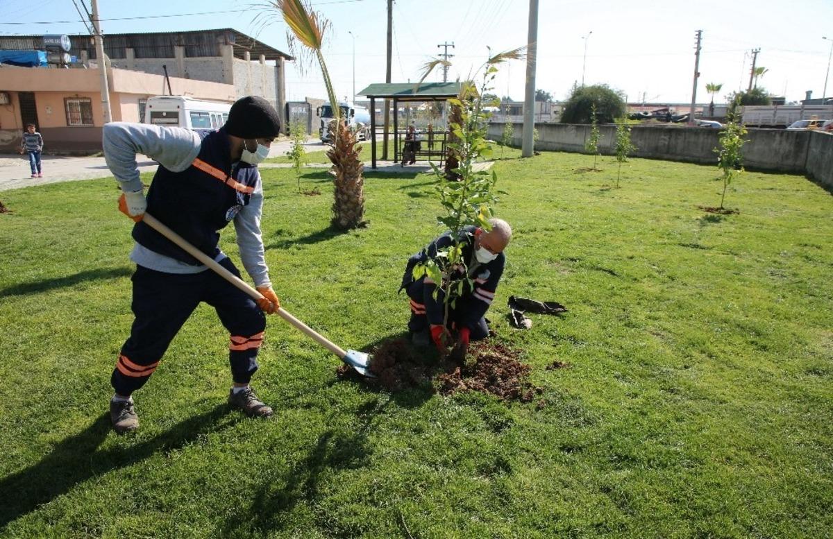 Akdeniz&rsquo;deki parklar bakımdan ge&ccedil;iriliyor
