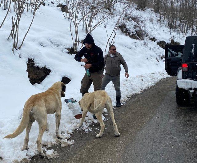 Off-Road üyeleri, sokak hayvanları için yem bıraktı