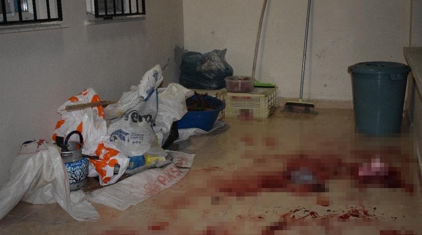 Malatya’da kardeşlerin miras kavgası kanlı bitti