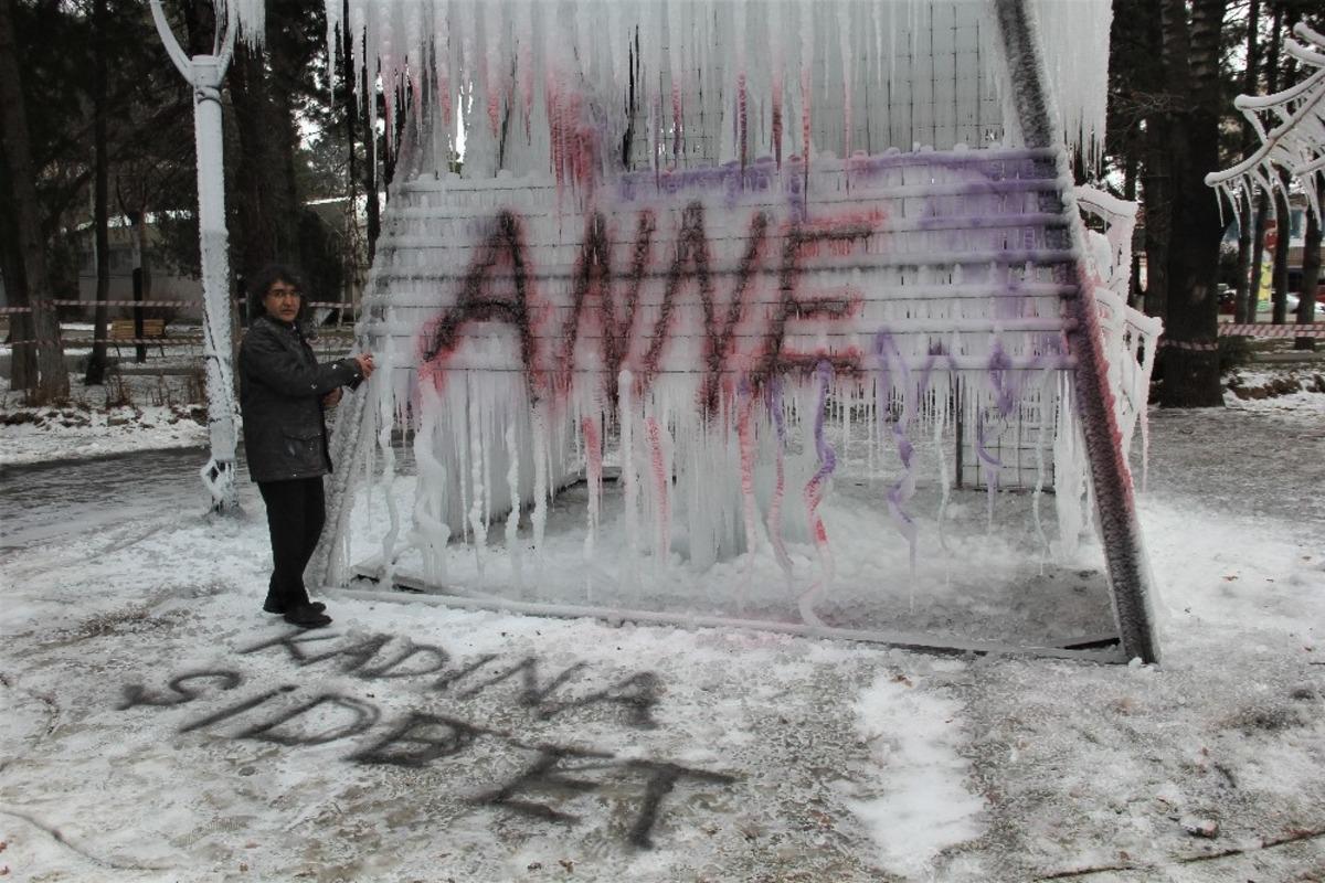 Profes&ouml;r, kadına şiddeti buzla eleştirdi