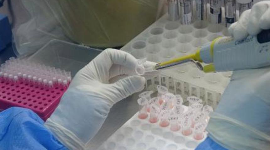 'Vakalar Türkiye ortalamasının 4 kat üzerinde' Şimdi de 'karadeniz mutasyonu' alarmı