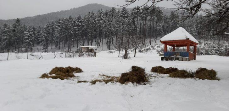 Çevreci gençlerden yaban hayatına yem desteği G1