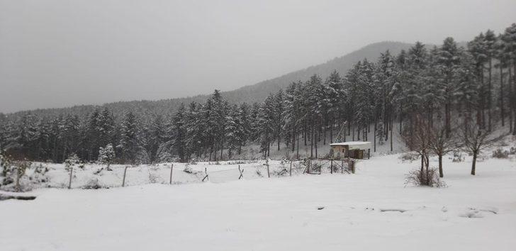 Çevreci gençlerden yaban hayatına yem desteği G2