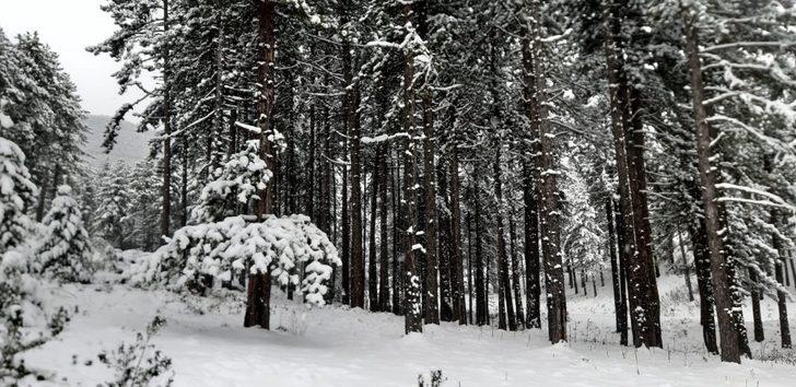 Çevreci gençlerden yaban hayatına yem desteği G4