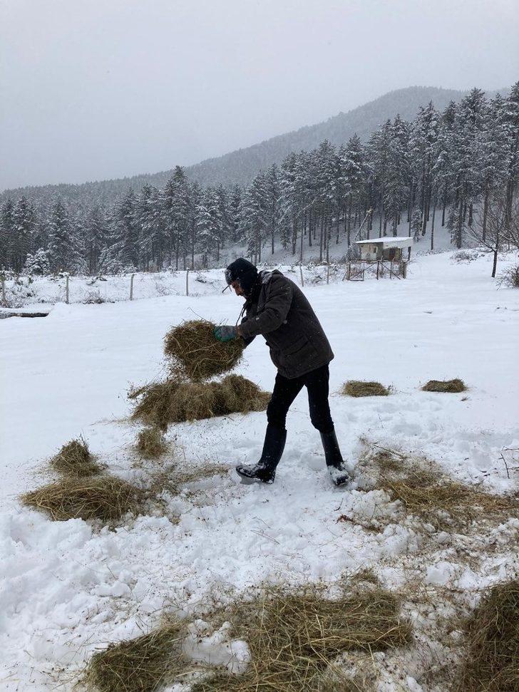 Çevreci gençlerden yaban hayatına yem desteği G5
