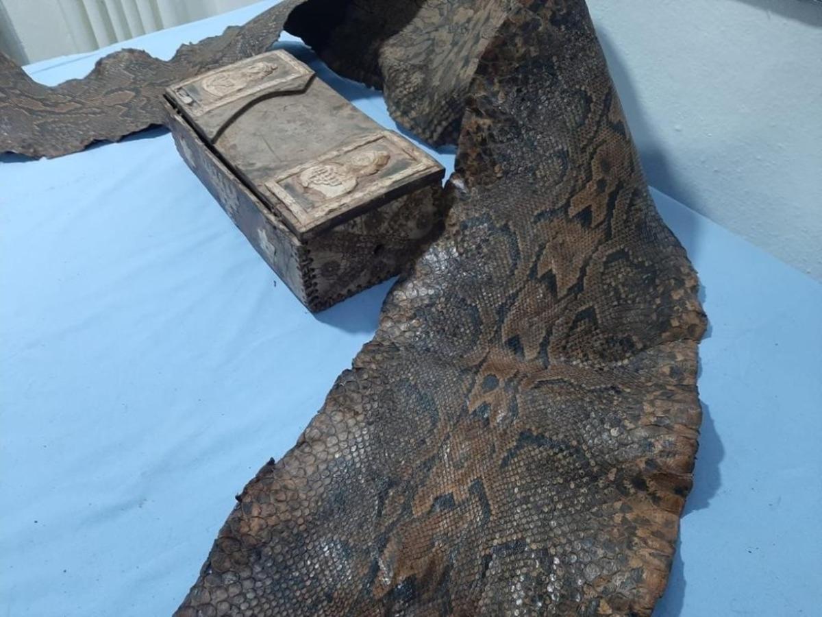 Gaziantep&rsquo;te İbranice yazıların bulunduğu piton derisi ele ge&ccedil;irildi