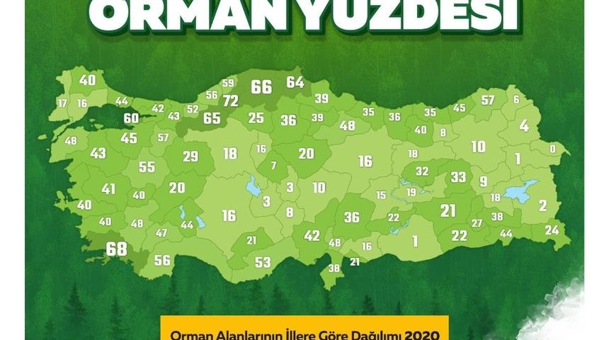 Aydın&rsquo;ın y&uuml;zde 40&rsquo;ı ormanlarla kaplı