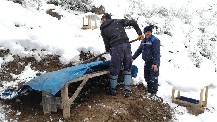 Uludere’de donmak üzere olan yavru köpekler kurtarıldı G4