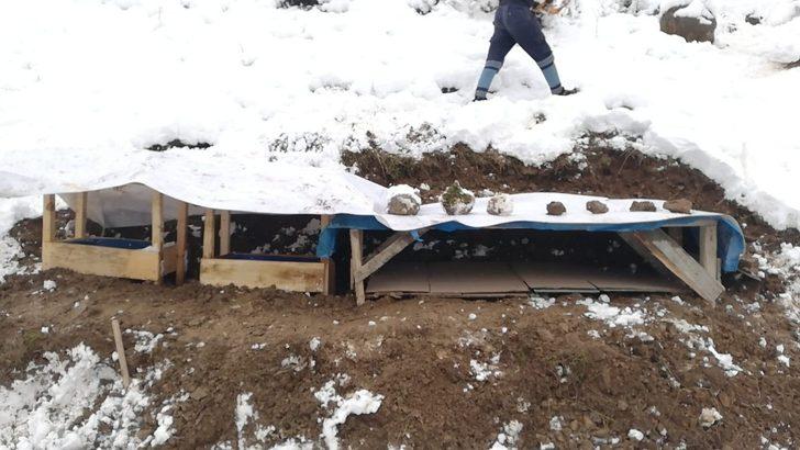 Uludere’de donmak üzere olan yavru köpekler kurtarıldı G5