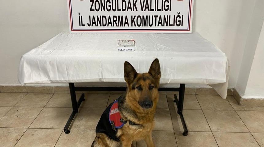 Jandarmadan uyuşturucu operasyonu; 1 gözaltı