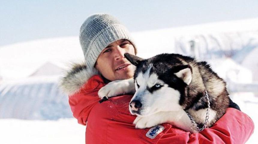 Kurt filmleri: Kurtlarla ilgili filmler