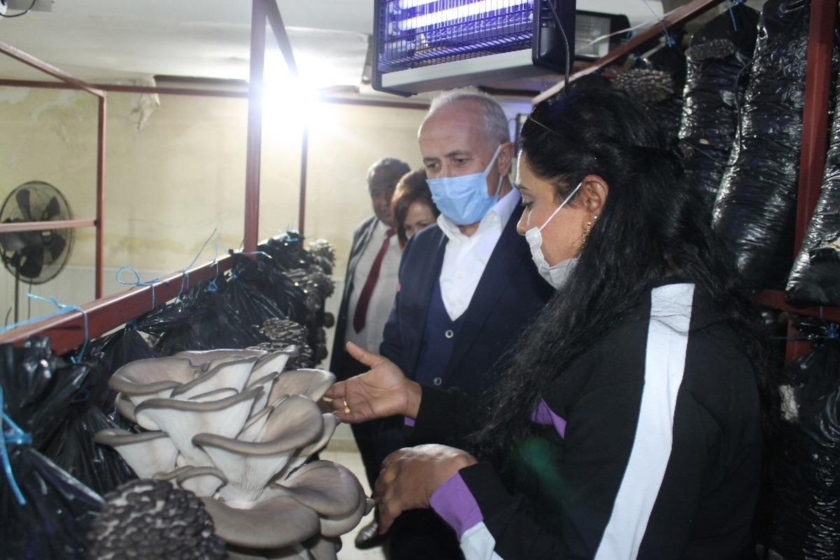 Kadınlar &uuml;retecek &ccedil;ocuklar eğlenecek