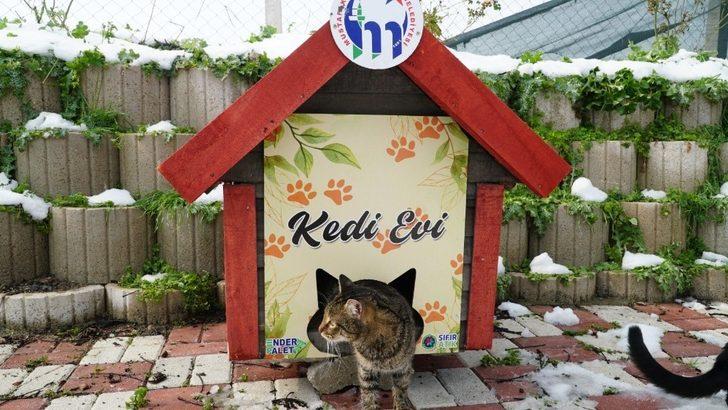 Mustafakemalpaşa kedi evleriyle donatıldı G1