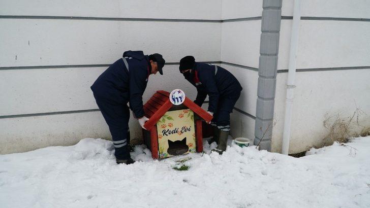 Mustafakemalpaşa kedi evleriyle donatıldı G2