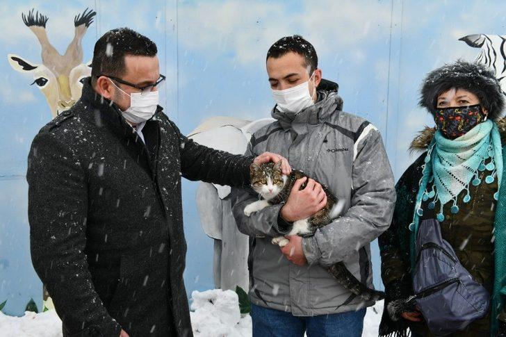 Mustafakemalpaşa kedi evleriyle donatıldı G3