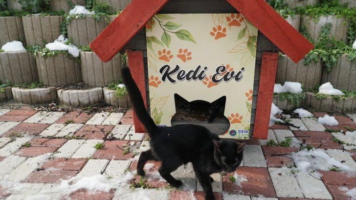 Mustafakemalpaşa kedi evleriyle donatıldı G4