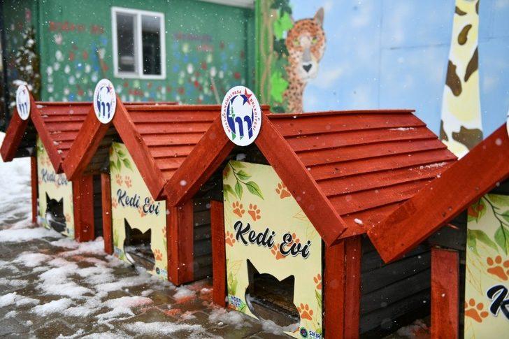 Mustafakemalpaşa kedi evleriyle donatıldı G5