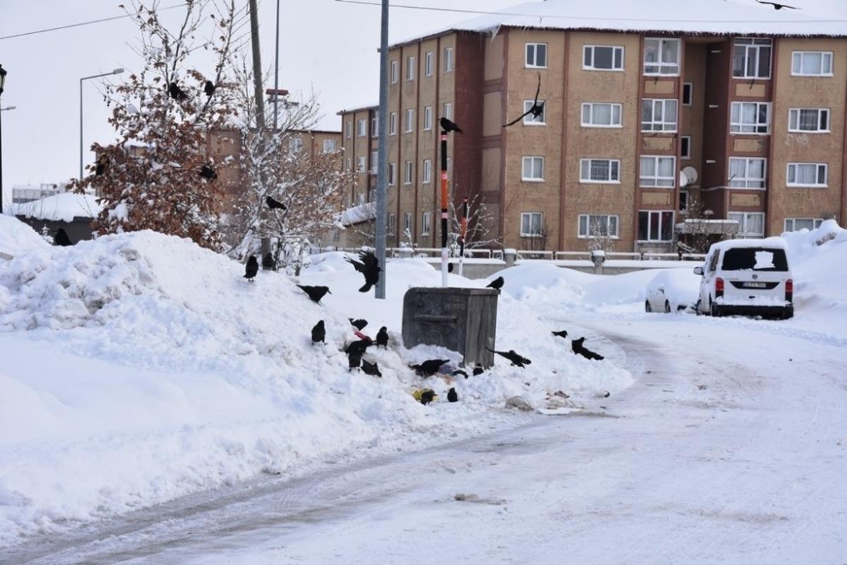 Bitlis kara g&ouml;m&uuml;ld&uuml;