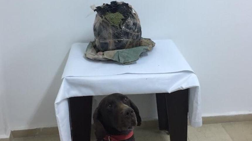 Batman&rsquo;da durdurulan ara&ccedil;tan uyuşturucu &ccedil;ıktı