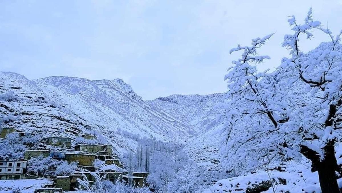 Uludere kara teslim oldu