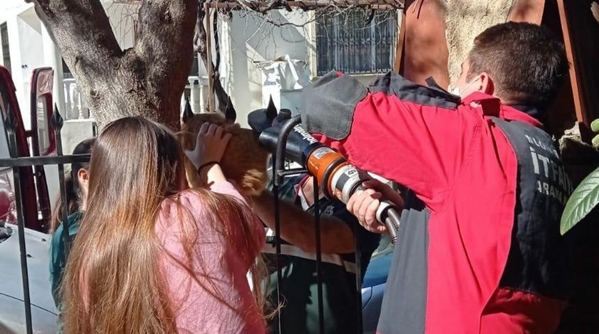 Korkuluk demirine sıkışan kediyi itfaiye kurtardı