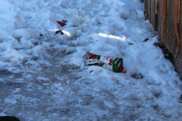 Başkentte 3 köpeğin şüpheli ölümü G2