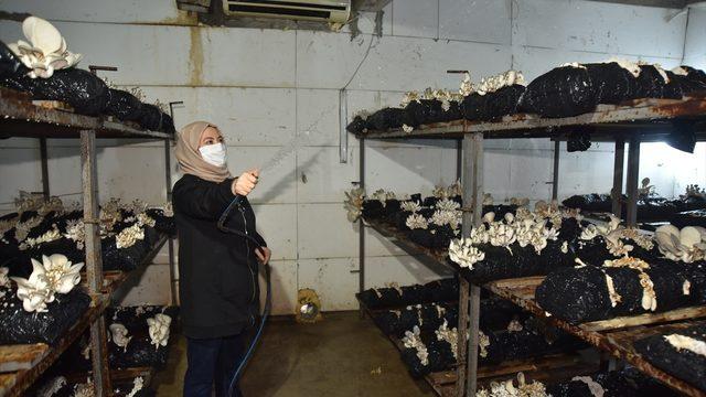 Hobi olarak mantar üretimine başlayan kadın girişimci ayda 45 bin lira kazanıyor