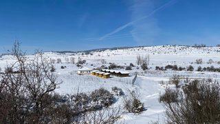 Eflani geçici hayvan barınağı sokak hayvanlarına yuva oldu