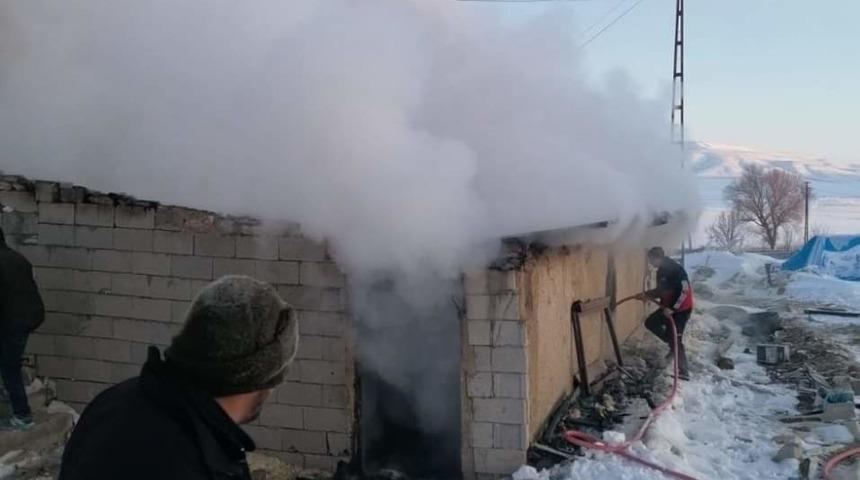 Ağılda yangın çıktı: 120 hayvan telef oldu