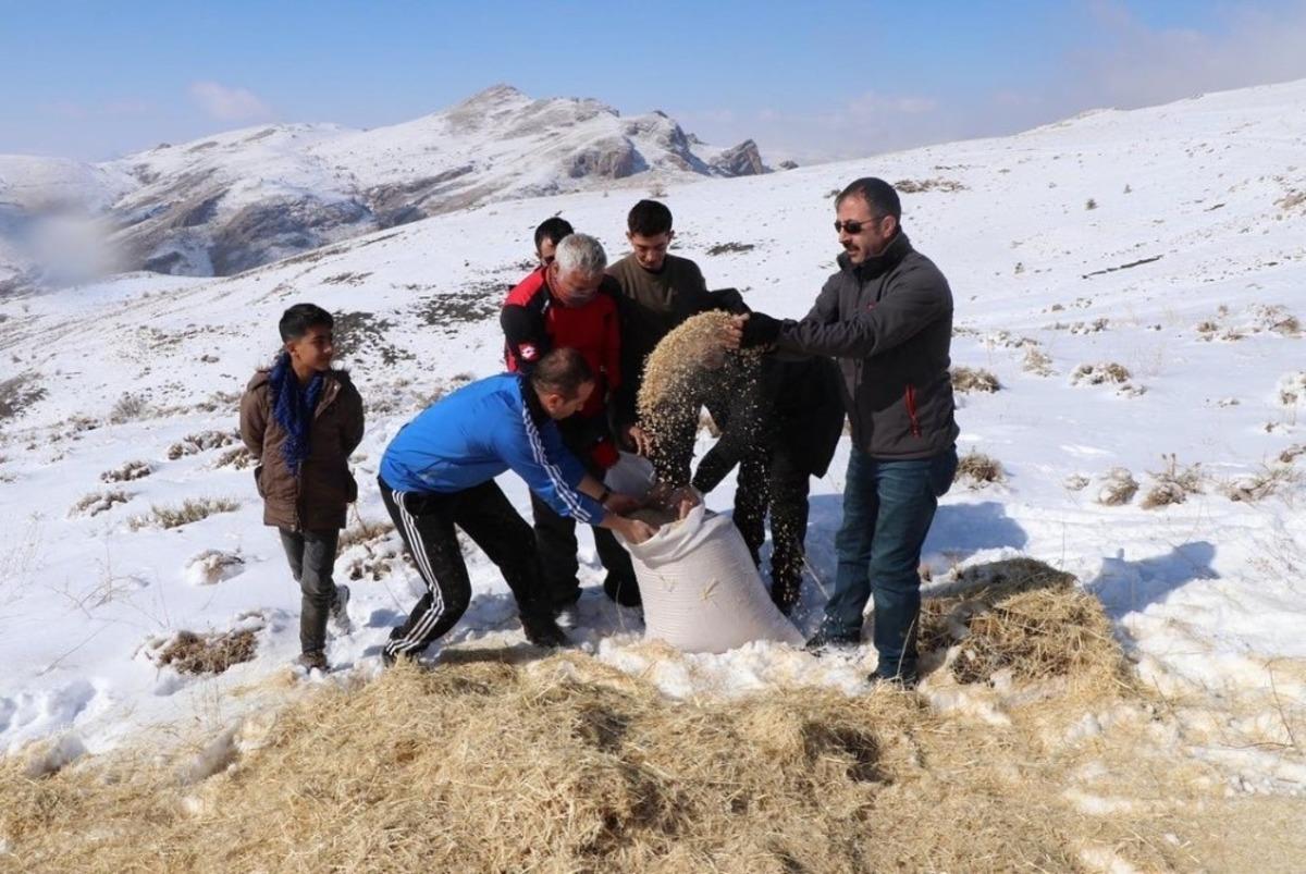 Erzincan&rsquo;da yılkı atları ve yaban hayvanları i&ccedil;in doğaya yem bırakıldı