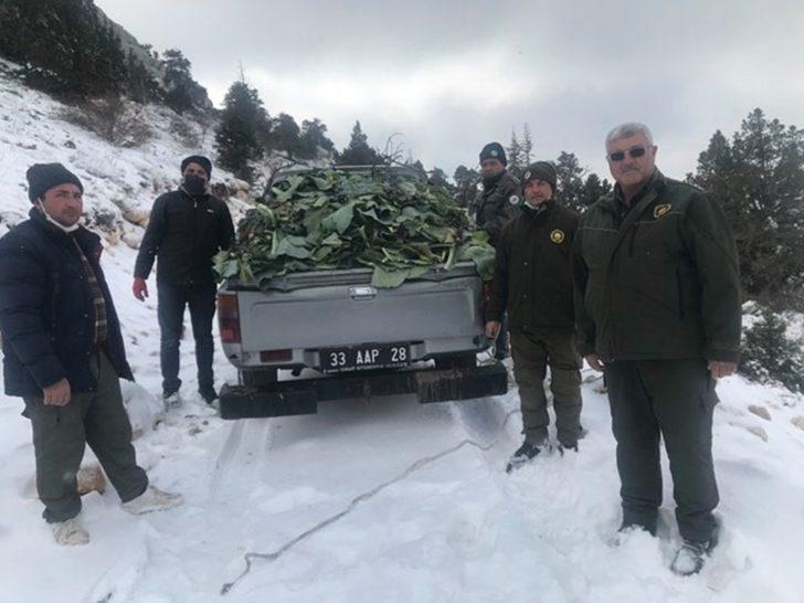 Mersin’de yaban hayvanları unutulmadı G2