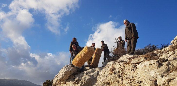 Mersin’de yaban hayvanları unutulmadı G3