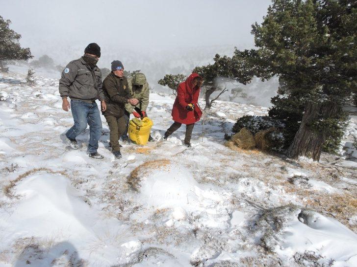 Mersin’de yaban hayvanları unutulmadı G5