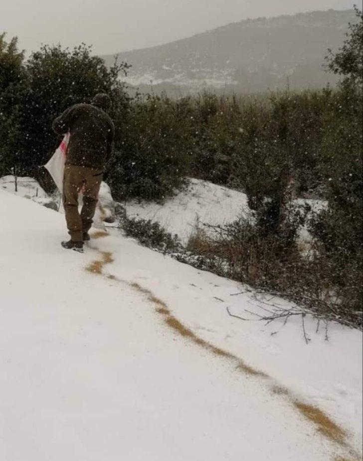 Yaban hayatına yönelik yemleme çalışmaları devam ediyor G2