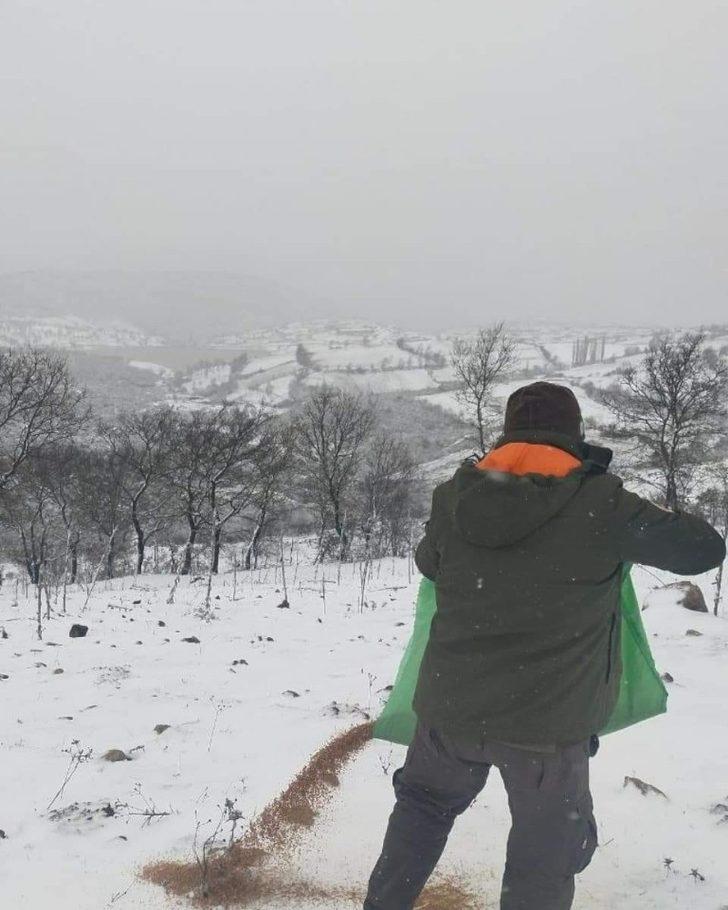 Yaban hayatına yönelik yemleme çalışmaları devam ediyor G3