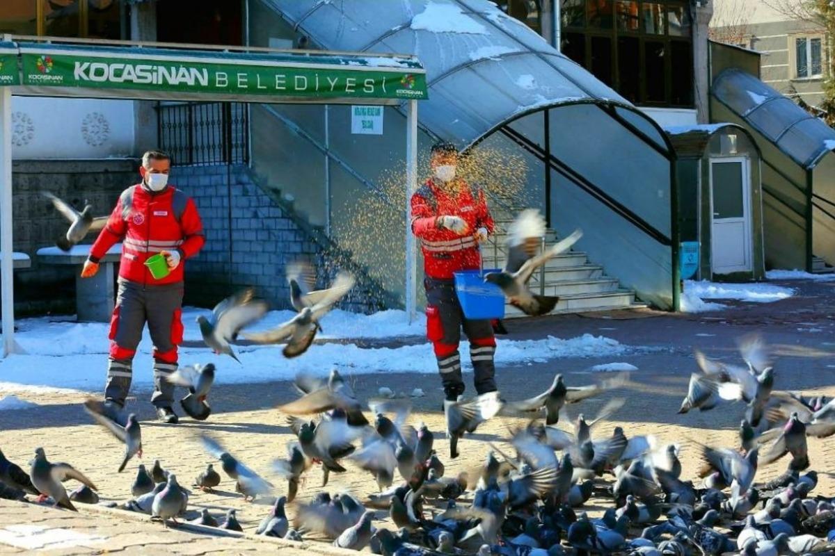 Kocasinan Belediyesi&rsquo;nden sokak hayvanları i&ccedil;in seferberlik
