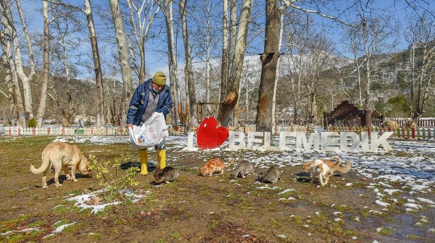 B&uuml;y&uuml;kşehir karla m&uuml;cadele ediyor, sokak hayvanlarını besliyor