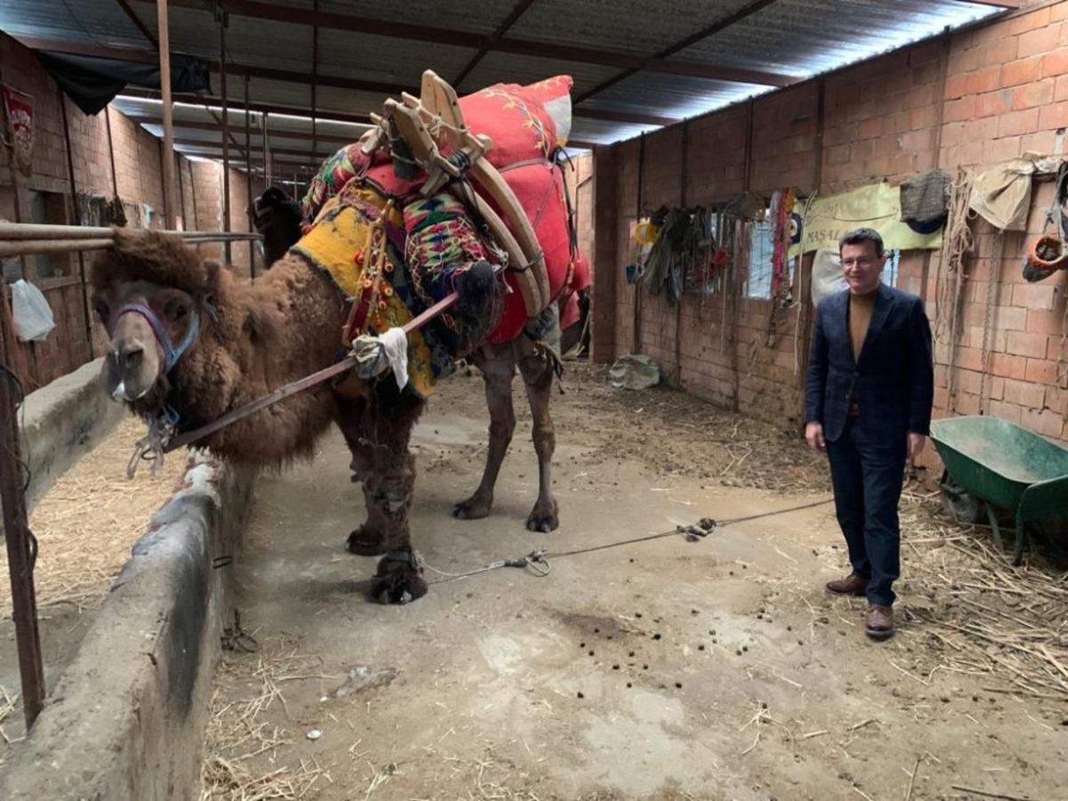 Atay Uslu: "Deve, konar-g&ouml;&ccedil;er yaşamın vazge&ccedil;ilmezidir"