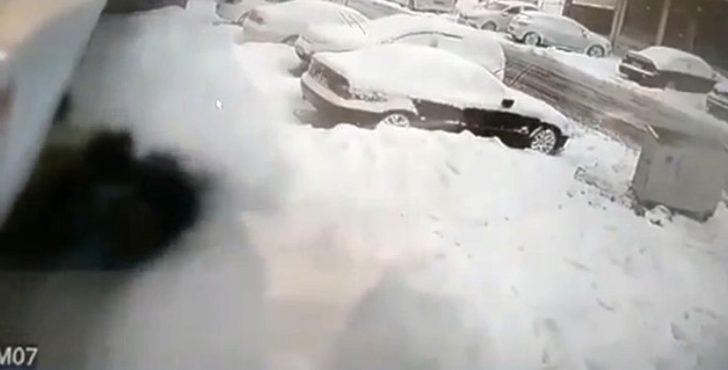 (Özel) İstanbul’da pitbull dehşeti G1