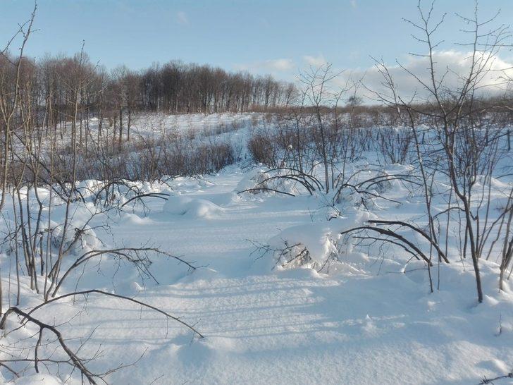 Kar yağışı, fındık dallarının belini büktü G2