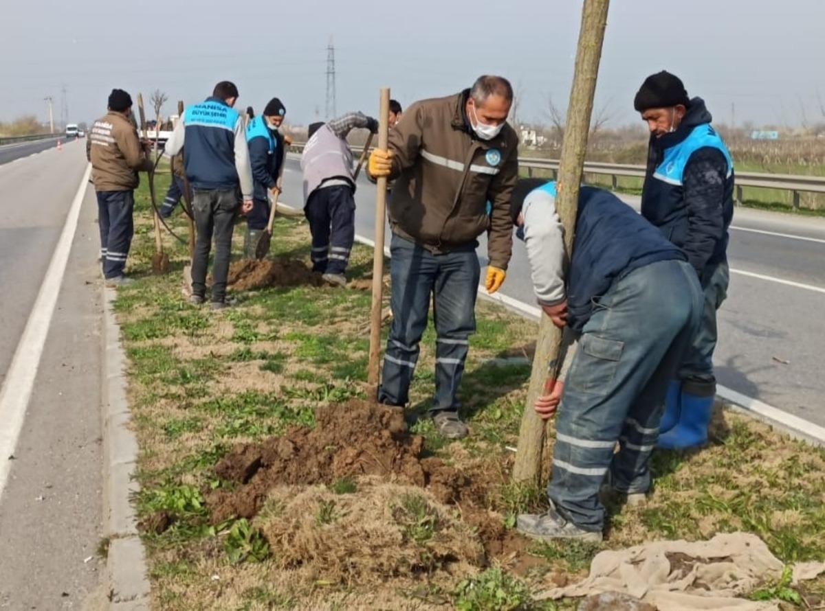 &Ccedil;evre yoluna 125 yeni ağa&ccedil; dikildi
