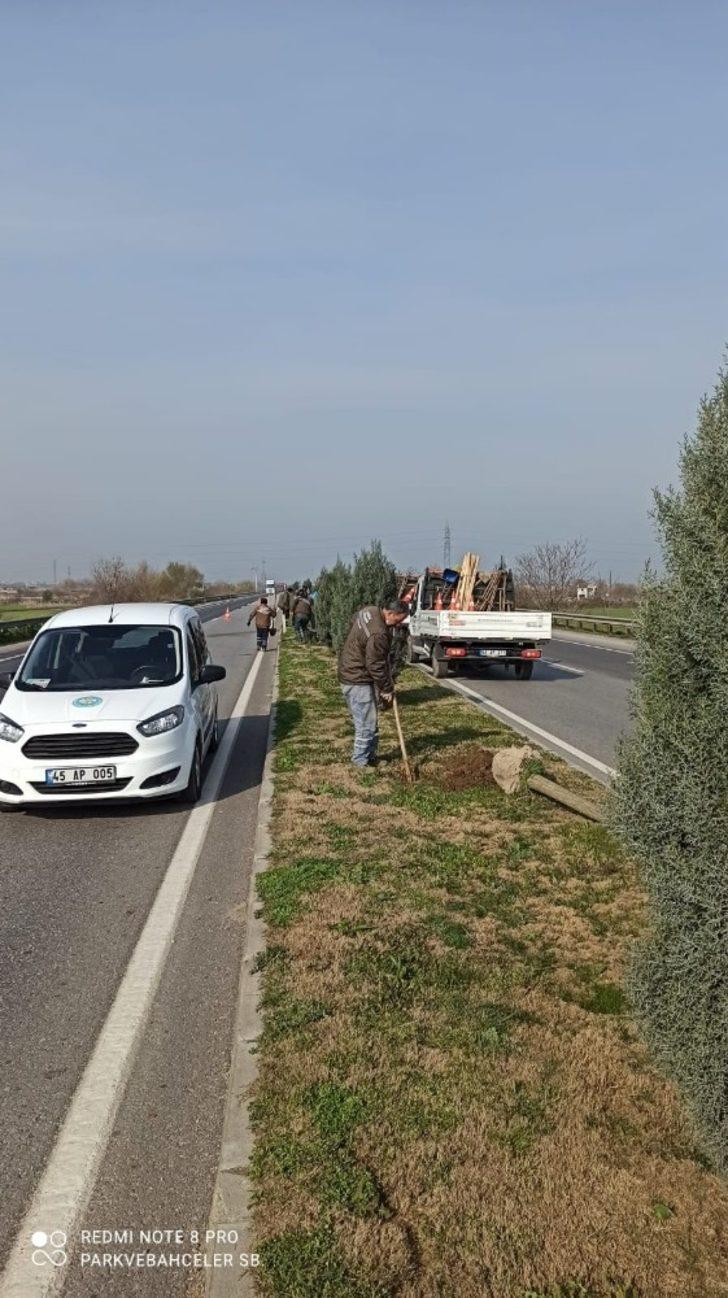 Çevre yoluna 125 yeni ağaç dikildi G2