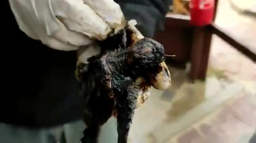 İsrail'de çevre felaketi: Akdeniz'den gelen öbek öbek katran sahile vurdu