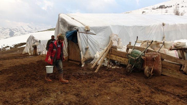 Anneleri telef olan kuzular biberonla besleniyor G2