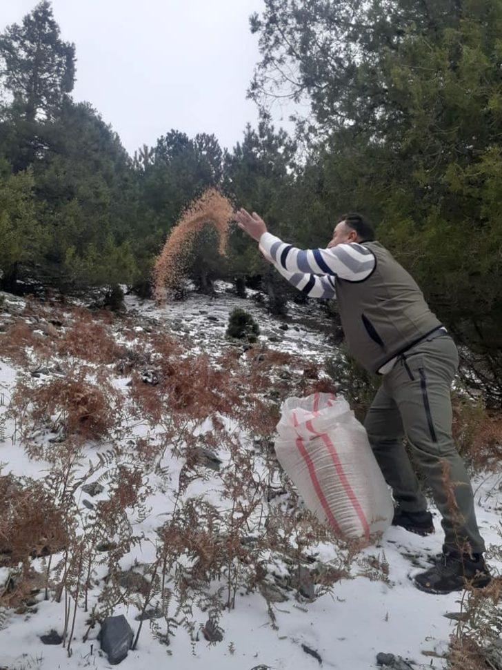 Av yasağına uymayan 7 kişi hakkında yasal işlem yapıldı G3