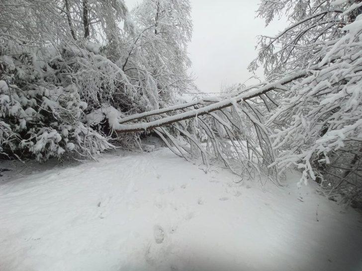 Artvin’de karda mahsur kalan çobanlar ve sürülerini kurtarıldı G3